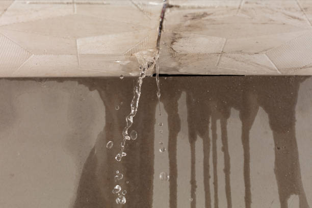 Professional Structural Drying technician working in Coatesville, PA